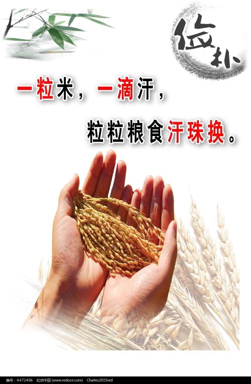如何申请教育部学历证书电子注册备案表